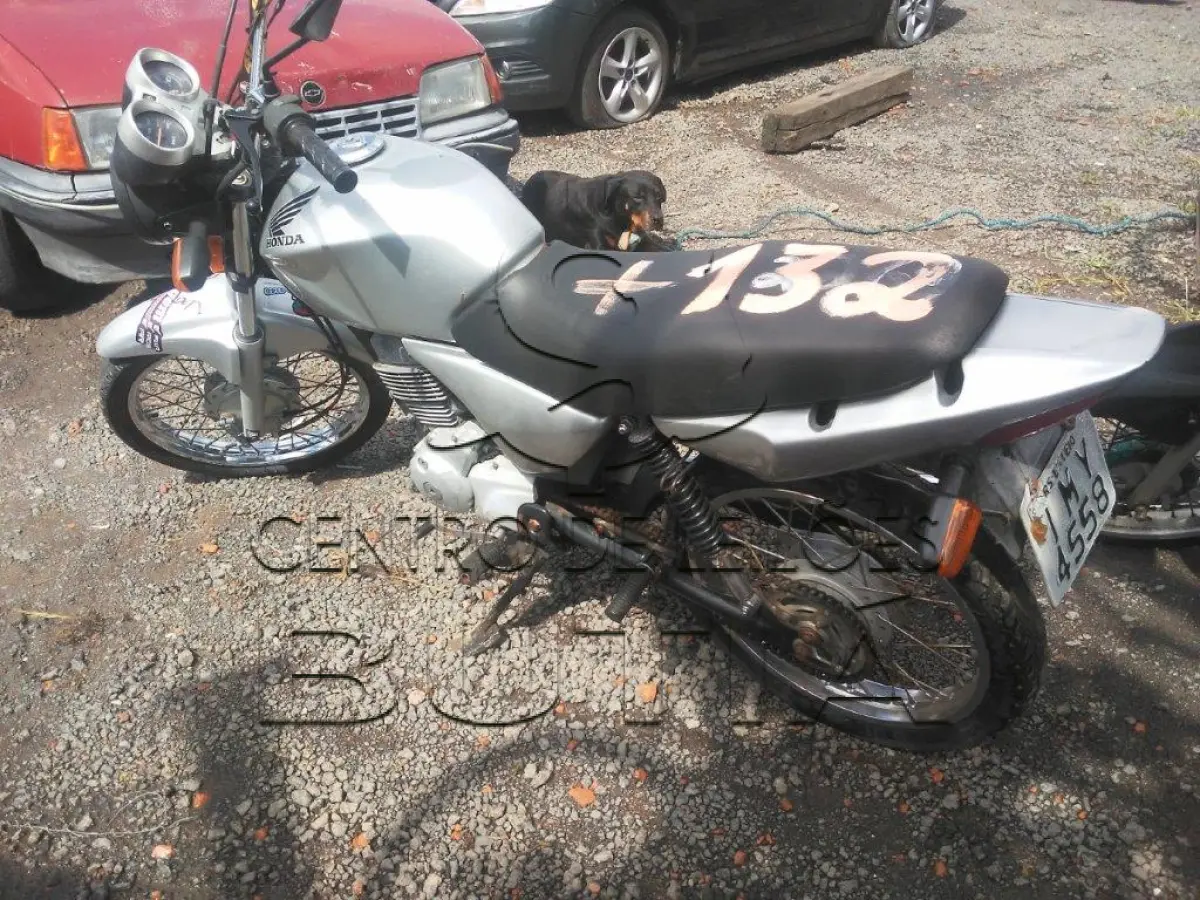 LOTE 0132