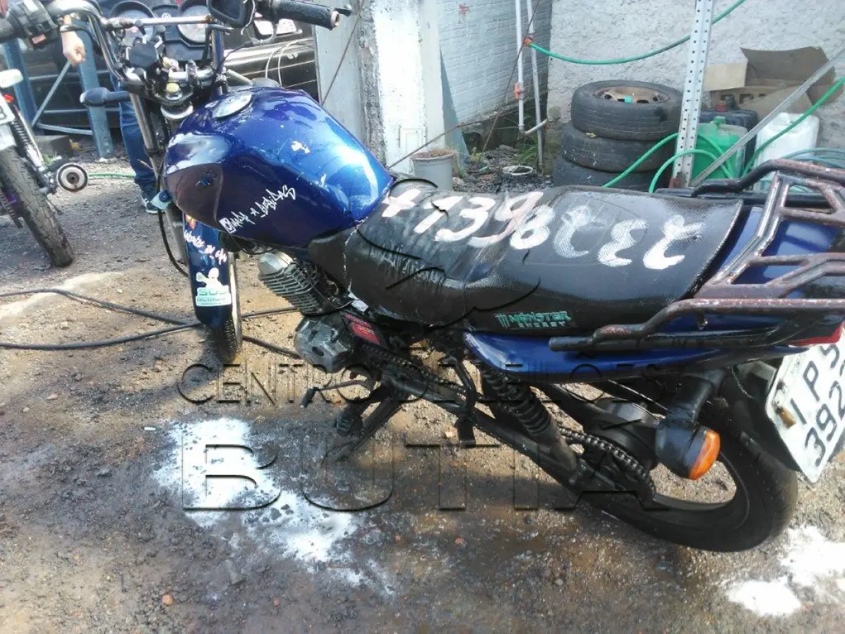 LOTE 0139