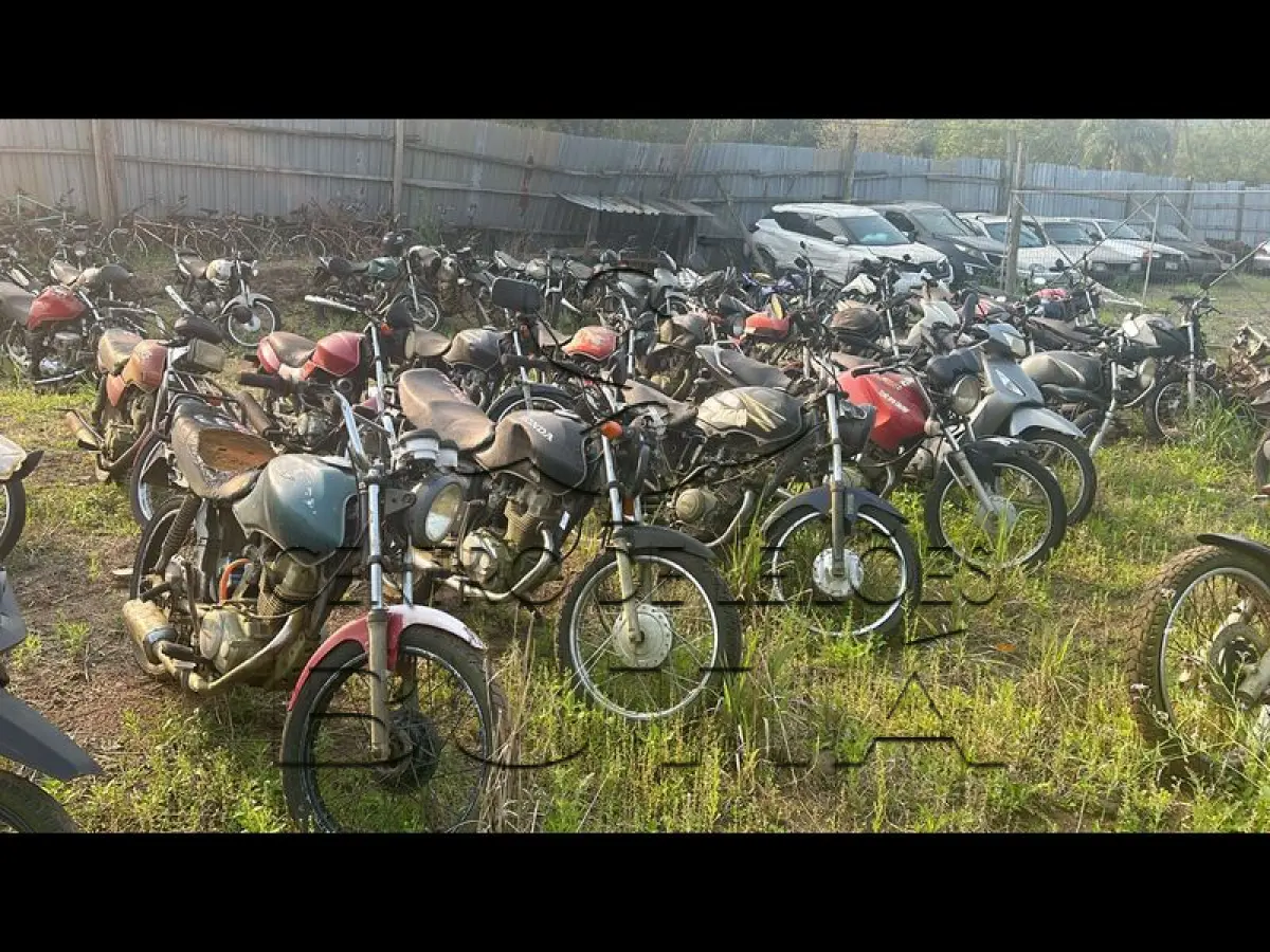LOTE 0001