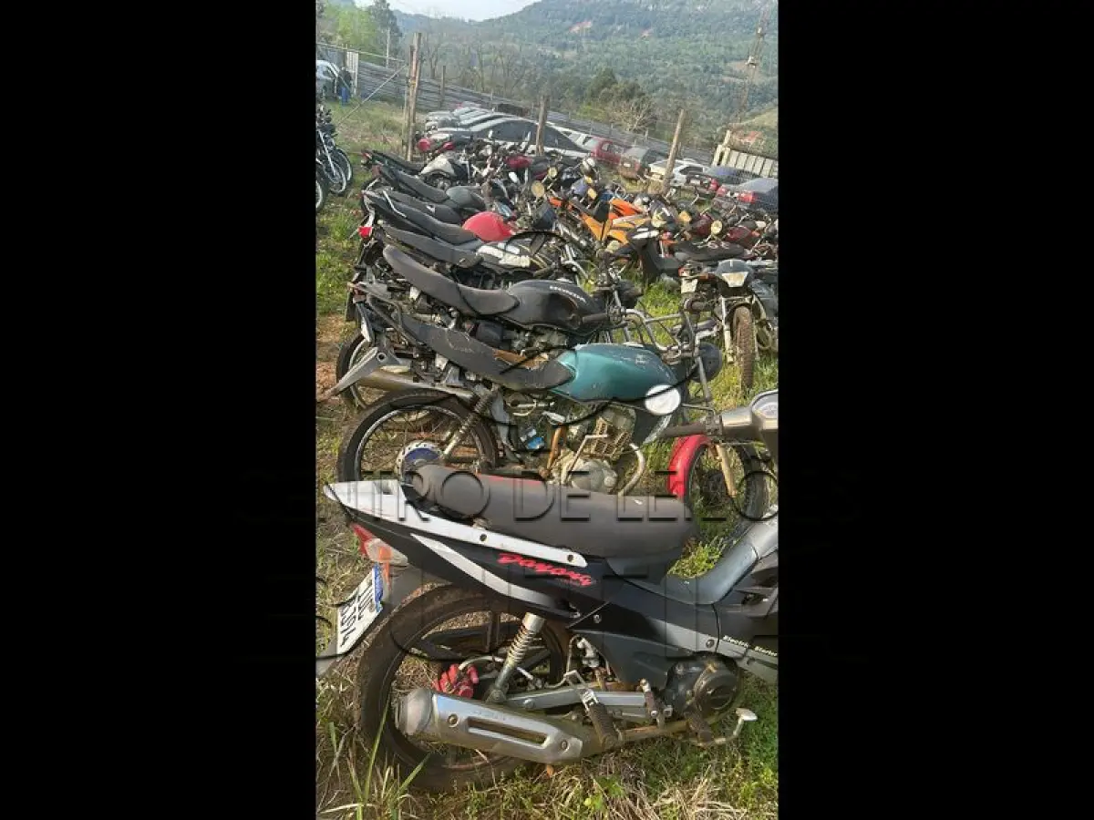 LOTE 0001