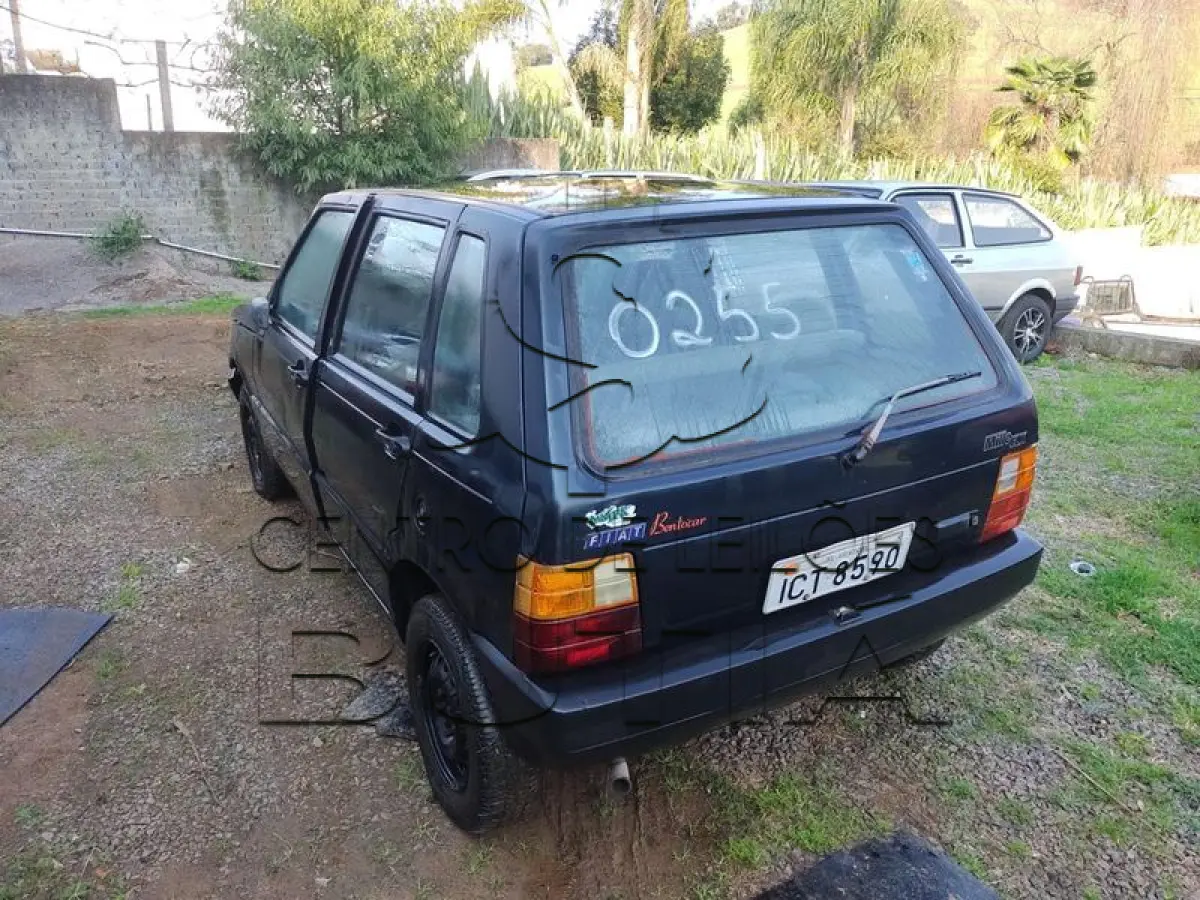 LOTE 0255