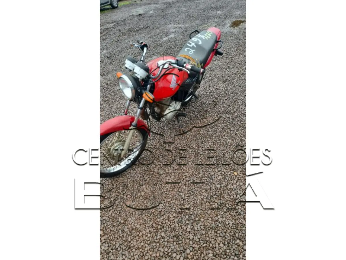 LOTE 0191