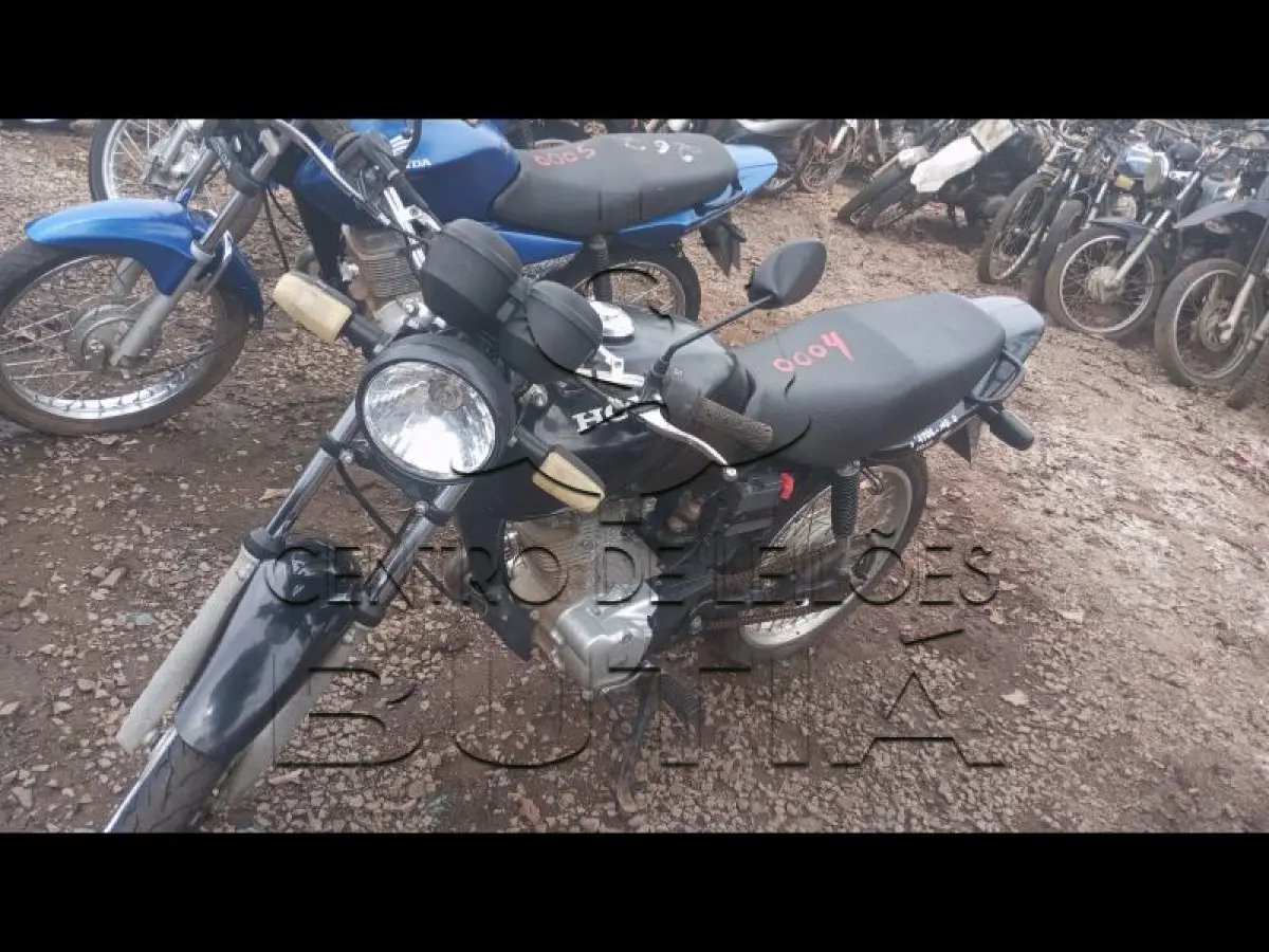 LOTE 0004