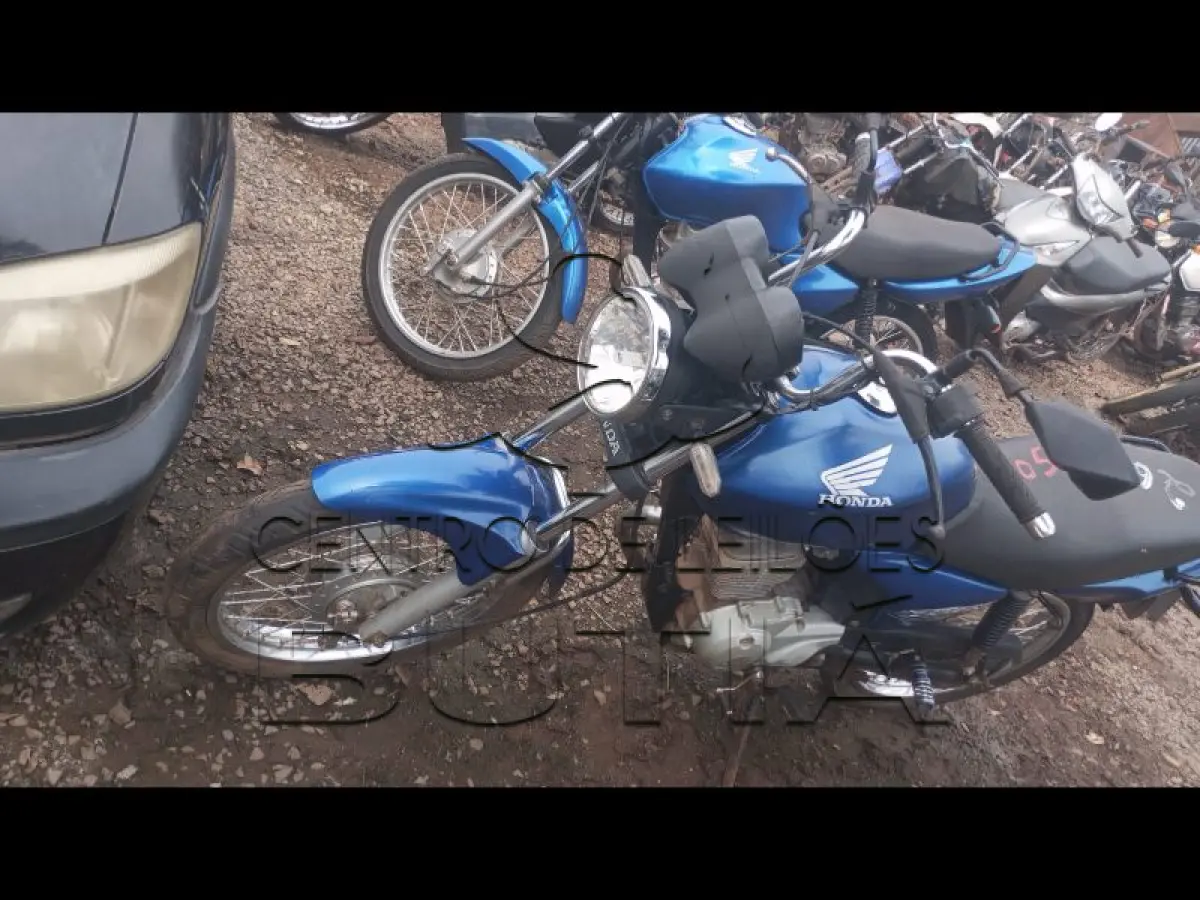 LOTE 0005