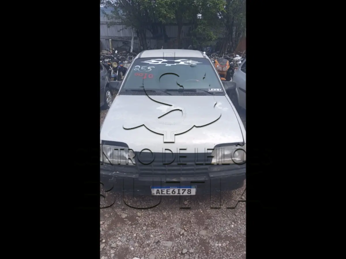 LOTE 0010