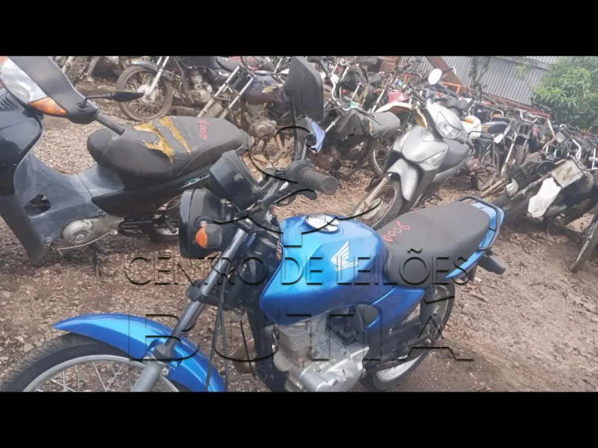 LOTE 0006