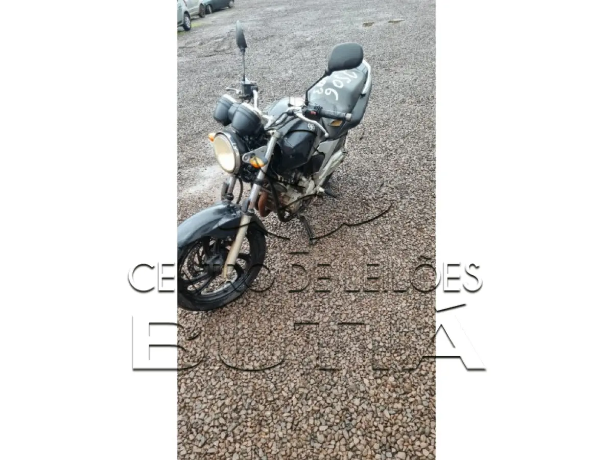 LOTE 0193